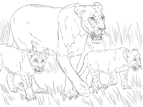 Lioness With Cubs Coloring Page